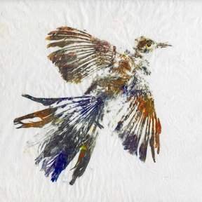 gyotaku bird